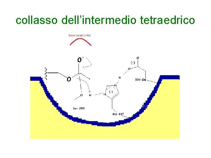collasso dell’intermedio tetraedrico 