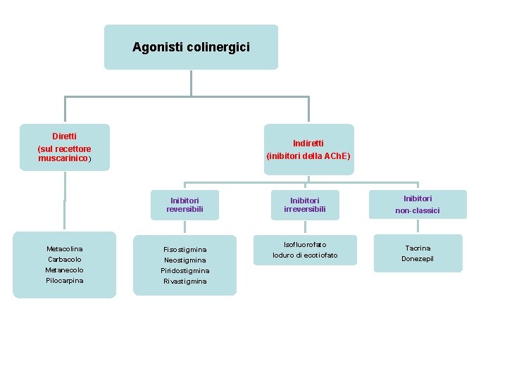 Agonisti colinergici Diretti Indiretti (inibitori della ACh. E) (sul recettore muscarinico) Inibitori reversibili Metacolina