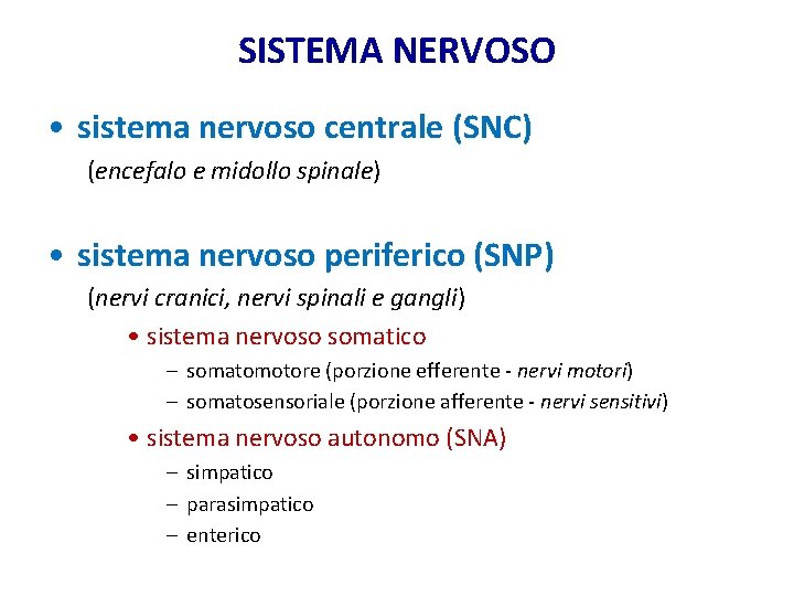 SISTEMA NERVOSO • sistema nervoso centrale (SNC) (encefalo e midollo spinale) • sistema nervoso