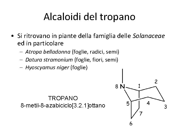 Alcaloidi del tropano • Si ritrovano in piante della famiglia delle Solanaceae ed in