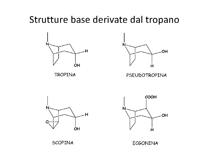 Strutture base derivate dal tropano 