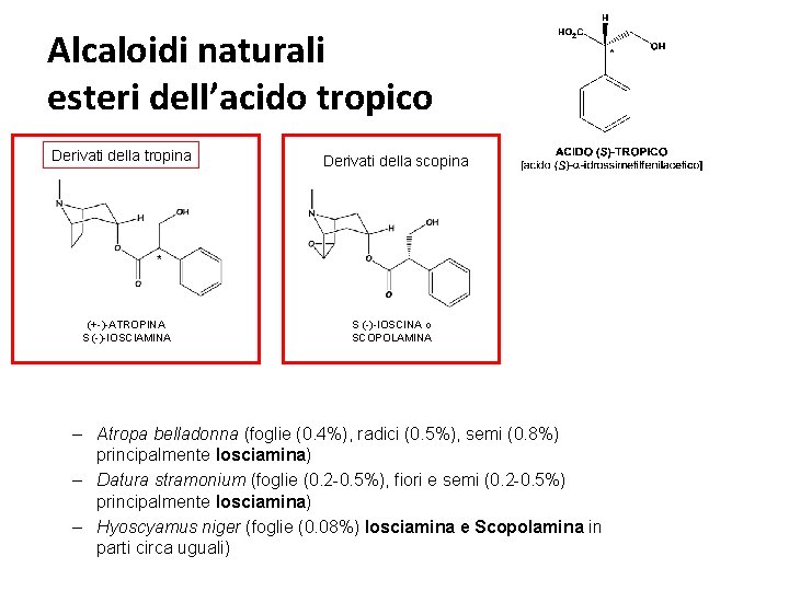Alcaloidi naturali esteri dell’acido tropico Derivati della tropina (+-)-ATROPINA S (-)-IOSCIAMINA Derivati della scopina
