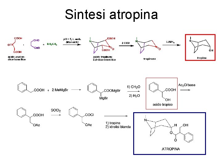 Sintesi atropina 