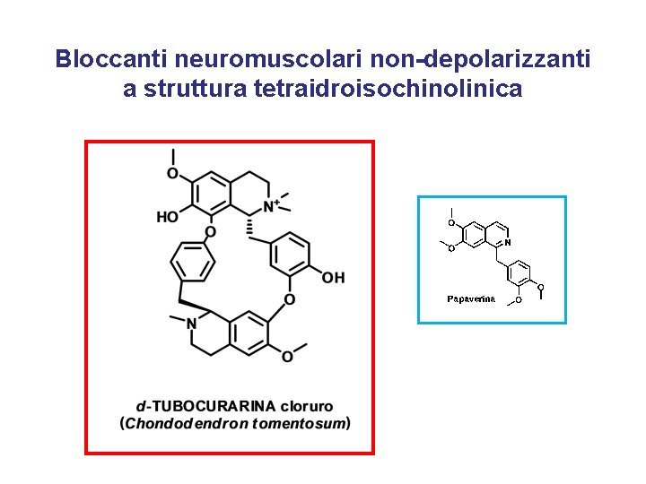 Bloccanti neuromuscolari non-depolarizzanti a struttura tetraidroisochinolinica 