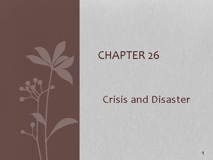 CHAPTER 26 Crisis and Disaster 1 