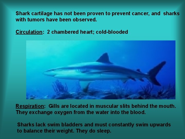 Shark cartilage has not been proven to prevent cancer, and sharks with tumors have