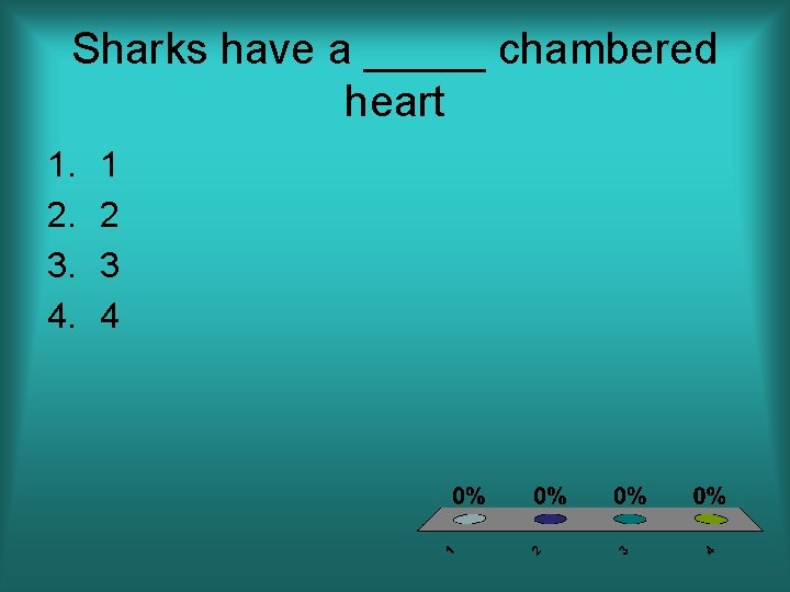 Sharks have a _____ chambered heart 1. 2. 3. 4. 1 2 3 4