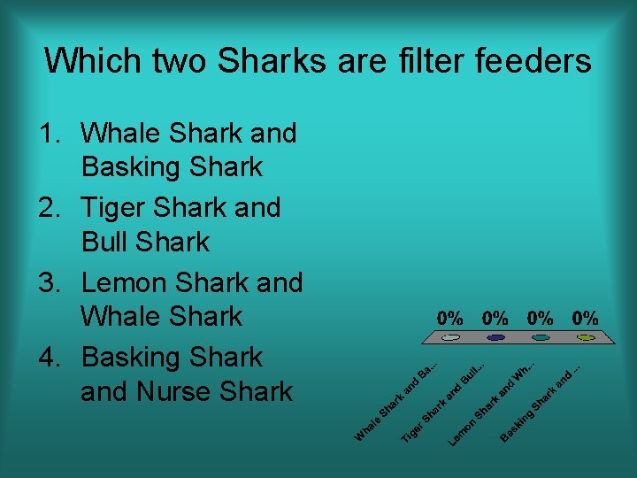 Which two Sharks are filter feeders 1. Whale Shark and Basking Shark 2. Tiger