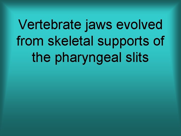 Vertebrate jaws evolved from skeletal supports of the pharyngeal slits 