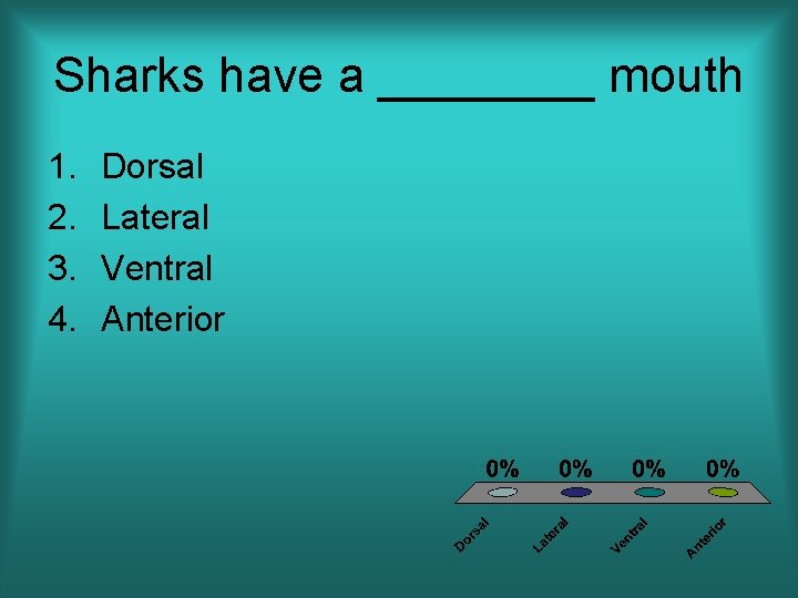 Sharks have a ____ mouth 1. 2. 3. 4. Dorsal Lateral Ventral Anterior 