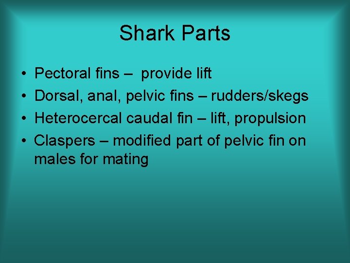 Shark Parts • • Pectoral fins – provide lift Dorsal, anal, pelvic fins –