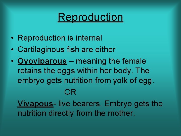 Reproduction • Reproduction is internal • Cartilaginous fish are either • Ovoviparous – meaning