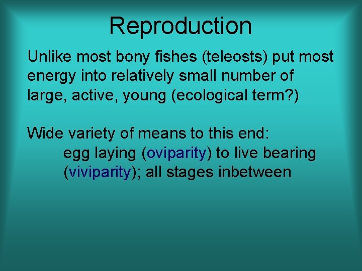 Reproduction Unlike most bony fishes (teleosts) put most energy into relatively small number of