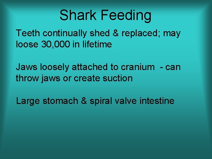 Shark Feeding Teeth continually shed & replaced; may loose 30, 000 in lifetime Jaws