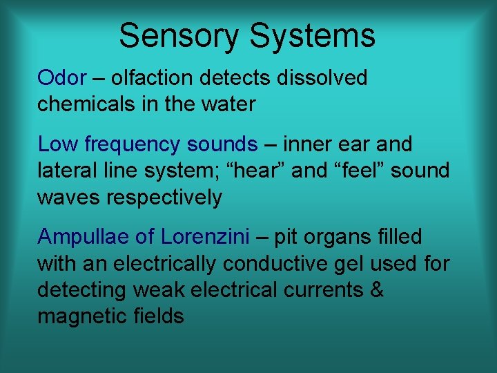 Sensory Systems Odor – olfaction detects dissolved chemicals in the water Low frequency sounds