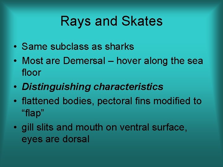 Rays and Skates • Same subclass as sharks • Most are Demersal – hover