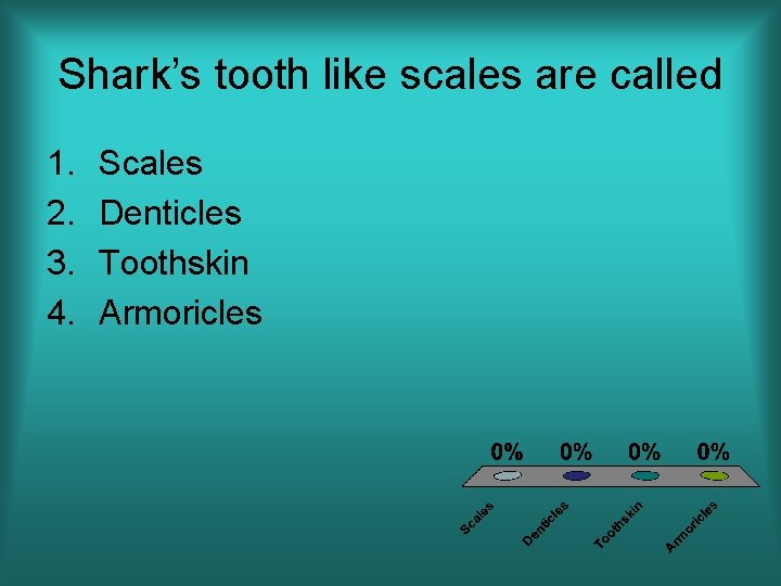 Shark’s tooth like scales are called 1. 2. 3. 4. Scales Denticles Toothskin Armoricles