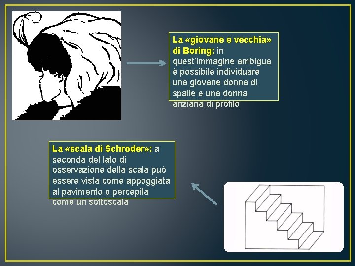 La «giovane e vecchia» di Boring: in quest’immagine ambigua è possibile individuare una giovane