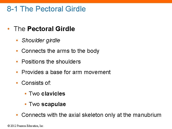 8 -1 The Pectoral Girdle • Shoulder girdle • Connects the arms to the