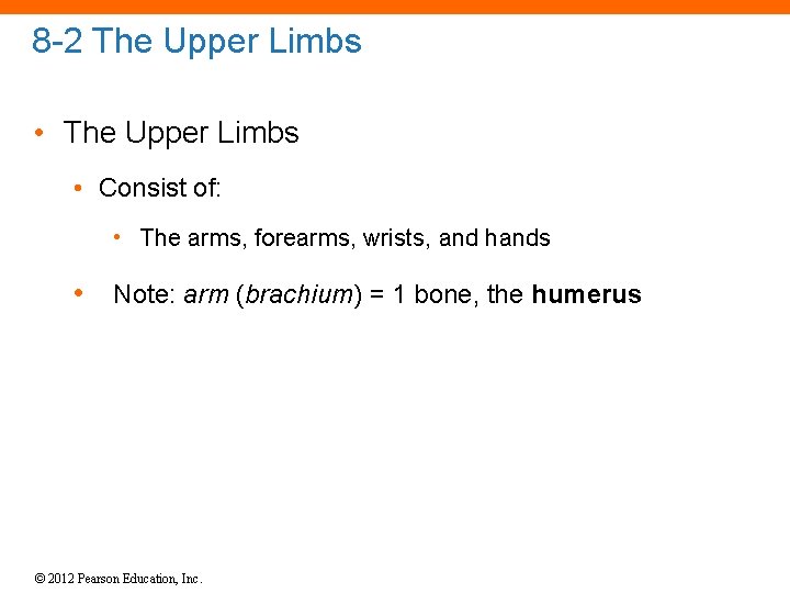 8 -2 The Upper Limbs • Consist of: • The arms, forearms, wrists, and