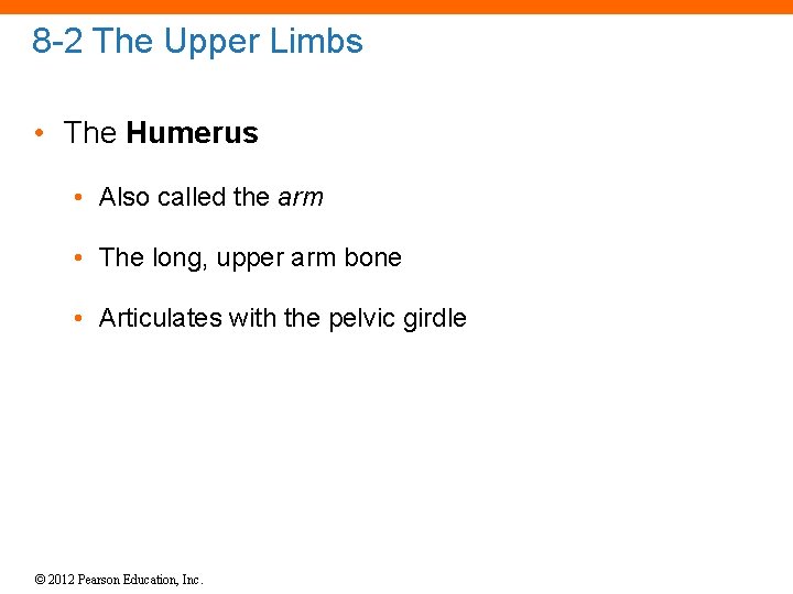 8 -2 The Upper Limbs • The Humerus • Also called the arm •