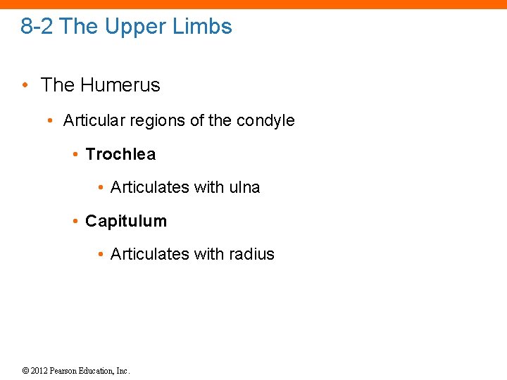 8 -2 The Upper Limbs • The Humerus • Articular regions of the condyle