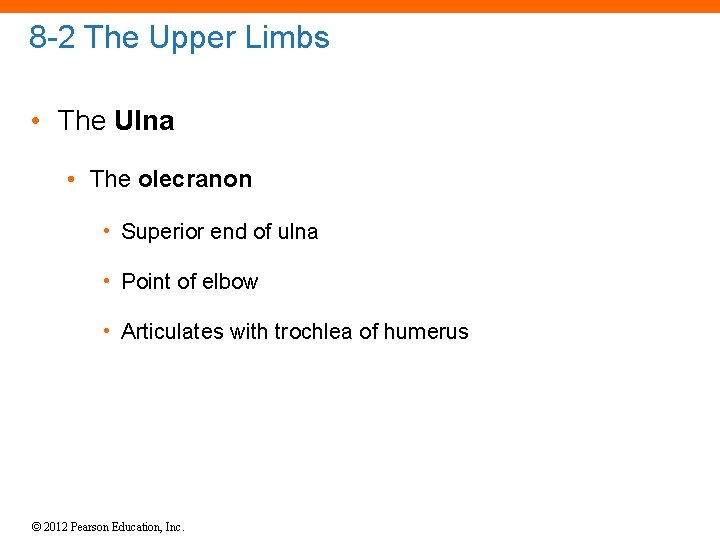 8 -2 The Upper Limbs • The Ulna • The olecranon • Superior end