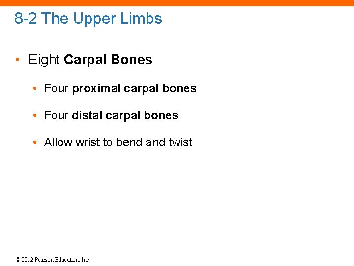 8 -2 The Upper Limbs • Eight Carpal Bones • Four proximal carpal bones