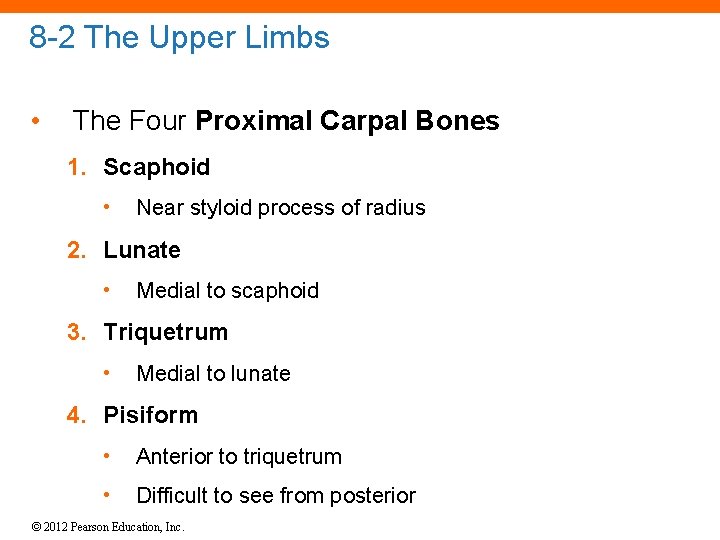 8 -2 The Upper Limbs • The Four Proximal Carpal Bones 1. Scaphoid •