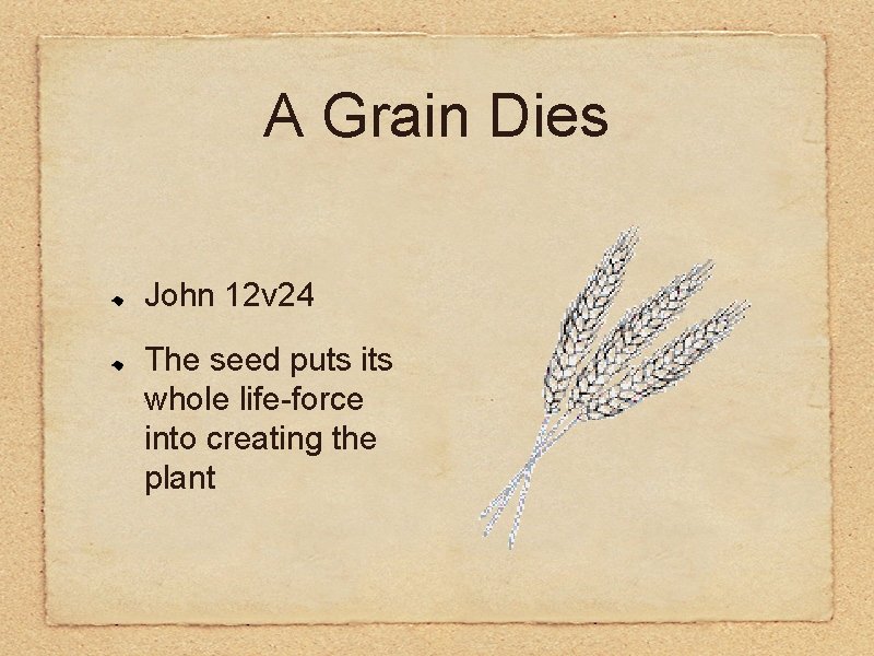 A Grain Dies John 12 v 24 The seed puts its whole life-force into