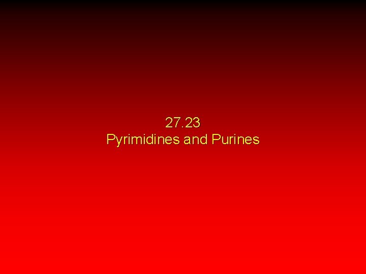 27. 23 Pyrimidines and Purines 