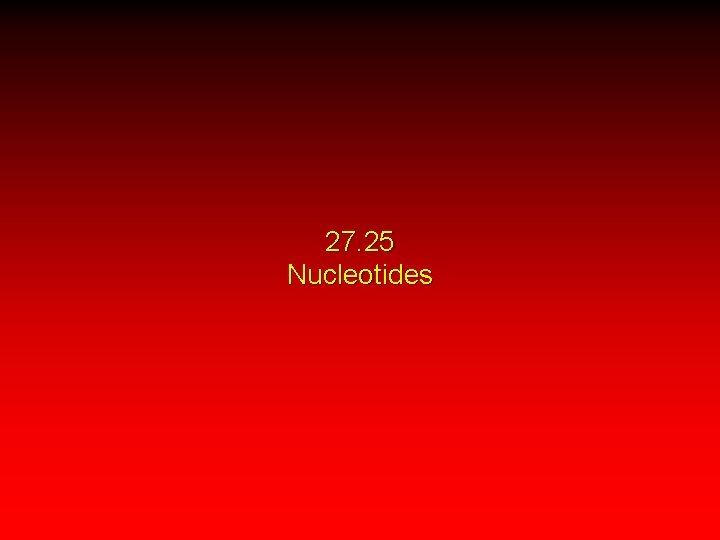 27. 25 Nucleotides 