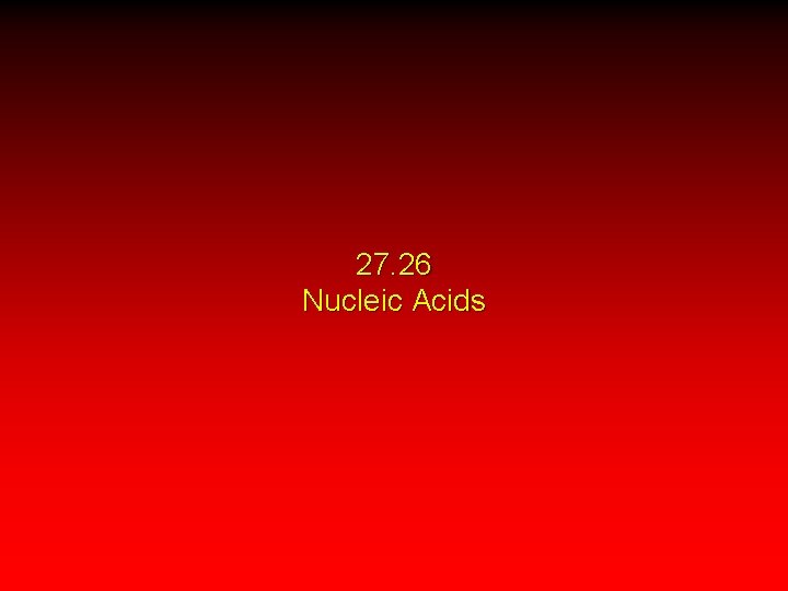 27. 26 Nucleic Acids 