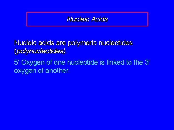 Nucleic Acids Nucleic acids are polymeric nucleotides (polynucleotides). 5' Oxygen of one nucleotide is