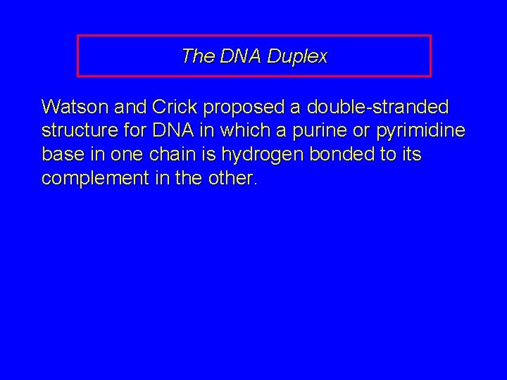 The DNA Duplex Watson and Crick proposed a double-stranded structure for DNA in which