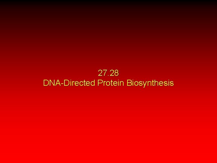 27. 28 DNA-Directed Protein Biosynthesis 