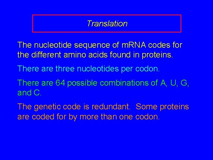 Translation The nucleotide sequence of m. RNA codes for the different amino acids found