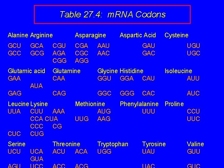 Table 27. 4: m. RNA Codons Alanine Arginine Asparagine GCU GCC CGA CGC AGG