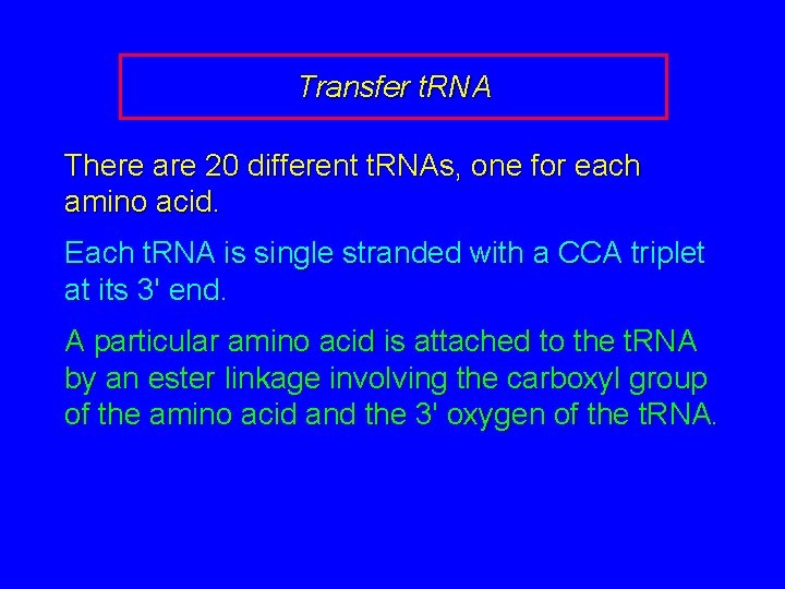 Transfer t. RNA There are 20 different t. RNAs, one for each amino acid.