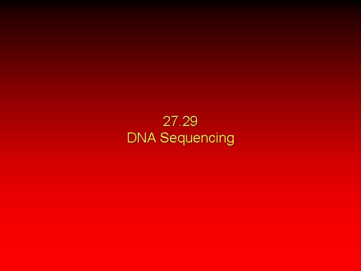 27. 29 DNA Sequencing 