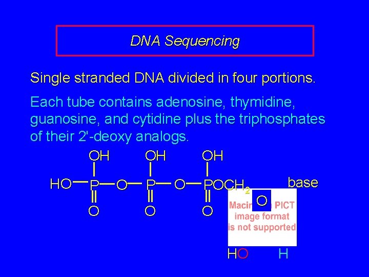 DNA Sequencing Single stranded DNA divided in four portions. Each tube contains adenosine, thymidine,