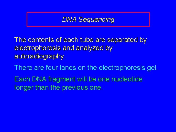 DNA Sequencing The contents of each tube are separated by electrophoresis and analyzed by
