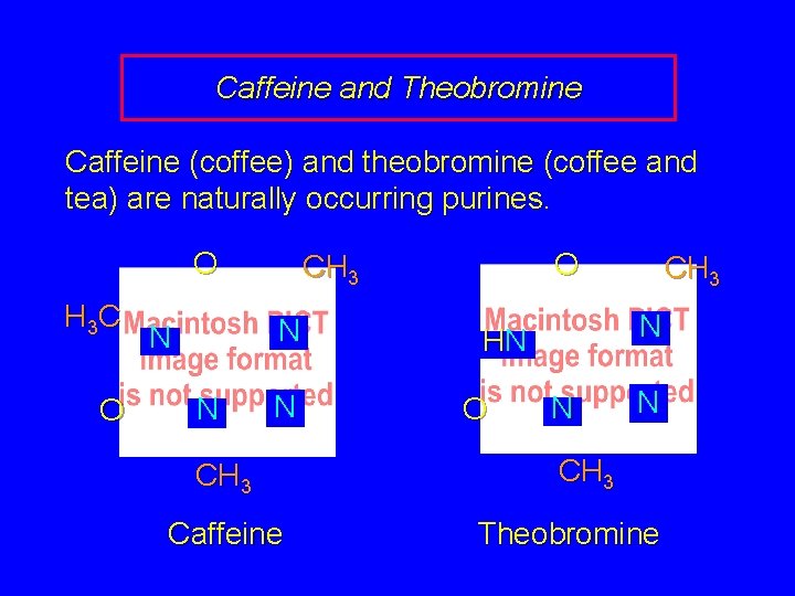 Caffeine and Theobromine Caffeine (coffee) and theobromine (coffee and tea) are naturally occurring purines.