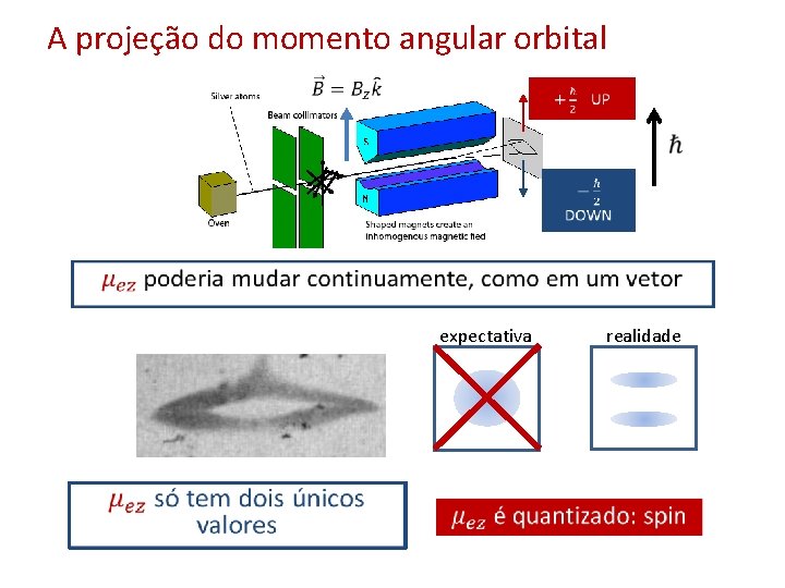 A projeção do momento angular orbital • expectativa realidade 