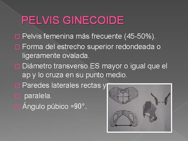 PELVIS GINECOIDE Pelvis femenina más frecuente (45 -50%). � Forma del estrecho superior redondeada