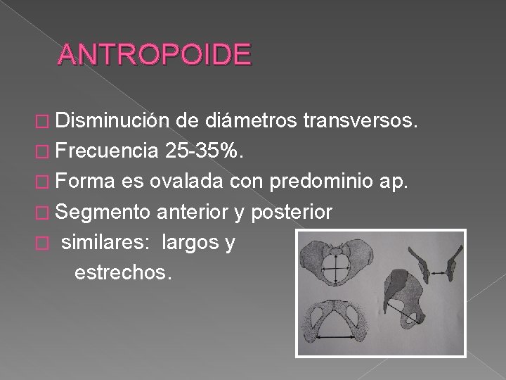 ANTROPOIDE � Disminución de diámetros transversos. � Frecuencia 25 -35%. � Forma es ovalada