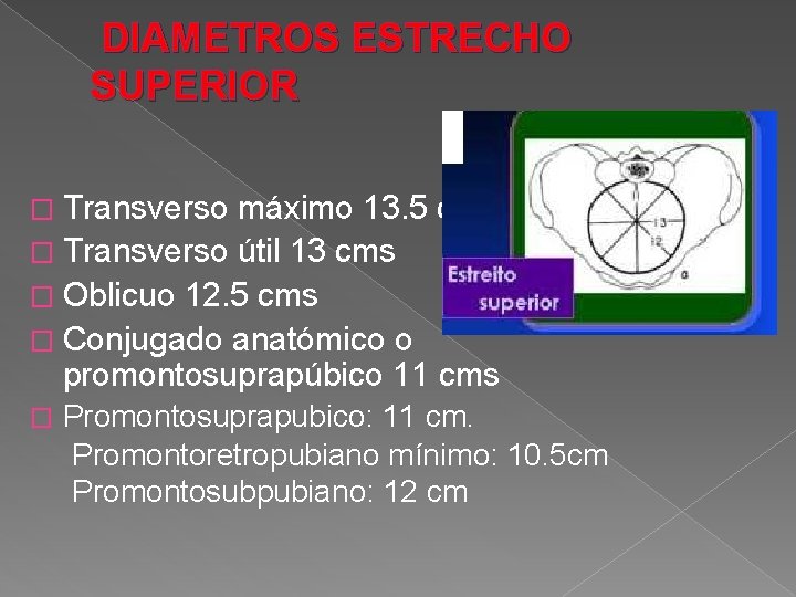 DIAMETROS ESTRECHO SUPERIOR � Transverso máximo 13. 5 cms � Transverso útil 13 cms