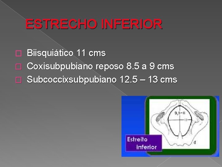 ESTRECHO INFERIOR Biisquiático 11 cms � Coxisubpubiano reposo 8. 5 a 9 cms �