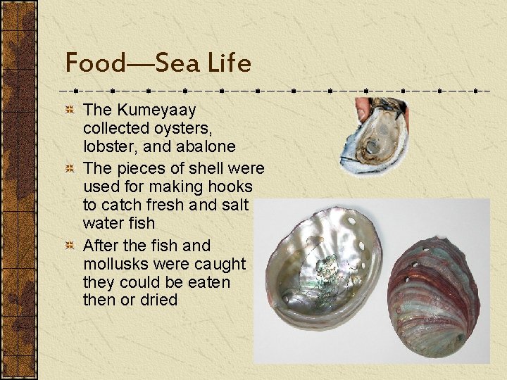 Food—Sea Life The Kumeyaay collected oysters, lobster, and abalone The pieces of shell were