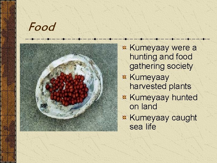 Food Kumeyaay were a hunting and food gathering society Kumeyaay harvested plants Kumeyaay hunted